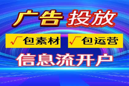 SEM竞价实战：成功案例解析